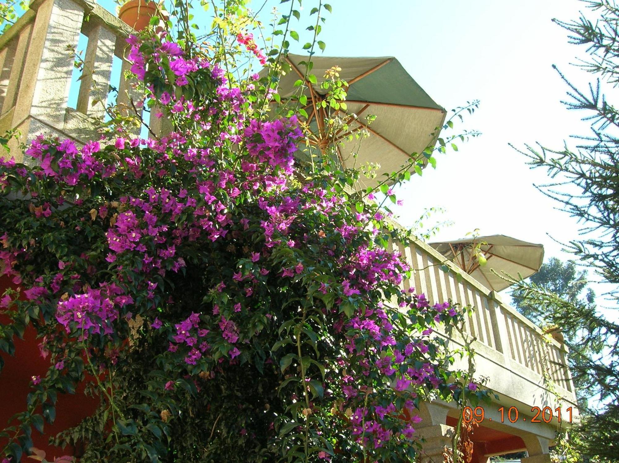As Adegas Guest House Poio Bagian luar foto